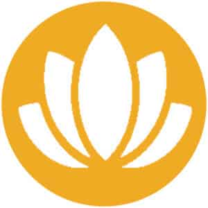 Creating Conscious Relationships
